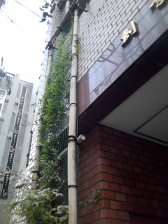 P2011_0705_071052.jpg