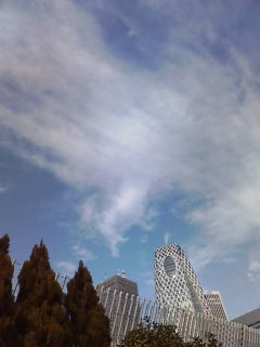 20100125093945.jpg
