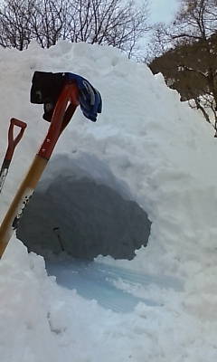 20090118131513.jpg
