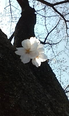20090330123505.jpg