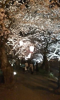 20090409221328.jpg
