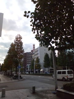 20091105075448.jpg