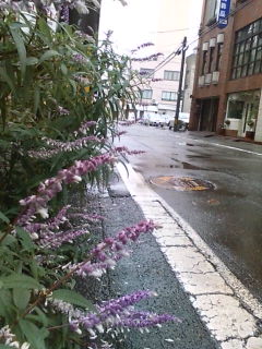 20091117072823.jpg