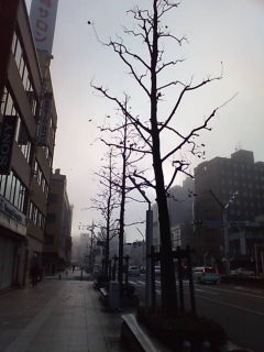 20091130081058.jpg