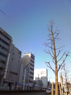 20091201074549.jpg