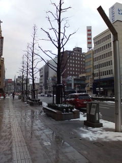 20100104075612.jpg