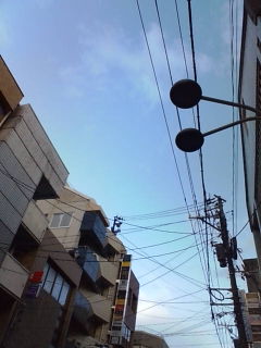 20100105074340.jpg
