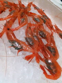 20100105083945.jpg