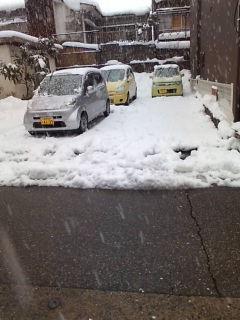 20100115075319.jpg