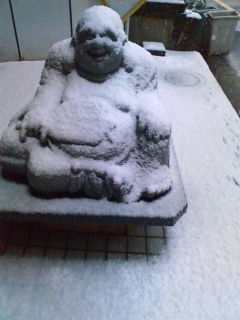 20100205071724.jpg