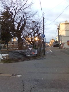 20100208072302.jpg