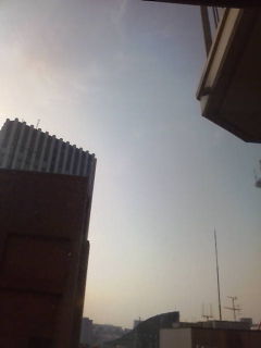 20100225081123.jpg