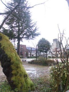 20100305074552.jpg
