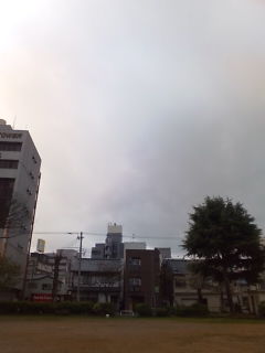 20100414072405.jpg