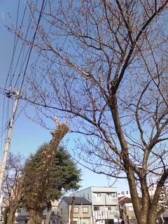 D1000352.jpg