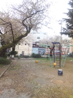 D1000410.jpg