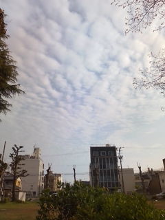 D1000418.jpg