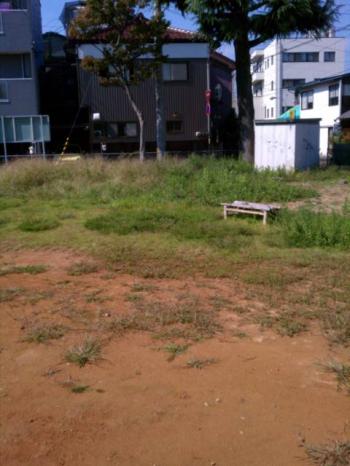 IMAG0430_convert_20111010084517.jpg