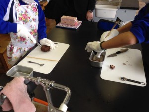 清水東小学校での天たつアントレキッズでは生徒さんたちに生きたバフンウニを割って生うにを取出し塩を振って、日本三大珍味のひとつ「越前仕立て汐雲丹（しおうに）」を作ってもらいました